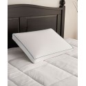 Foam Side Sleeper Pillow, Standard/Queen