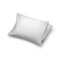 White Goose Down Protector Standard/Queen, Set of 2, White