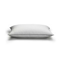 Density Stomach Sleeper Pillow Removable Pillow Protector, Full/Queen