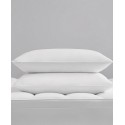 Feather Pillow 2-Pack Collection