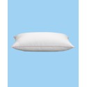 White Goose Down Pillow and Removable Pillow Protector