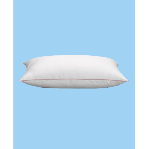 White Goose Down Pillow and Removable Pillow Protector