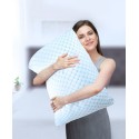 Memory Foam Infused Reversible Cooling 2-Pack Pillow