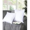 2 Piece Pillow Set Collection