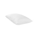 Healthy Nights Pillow, Standard/Queen