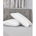 Healthy Nights Pillow, Standard/Queen